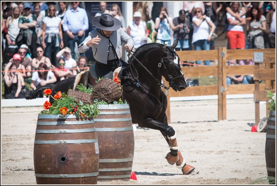 Pferd International 090